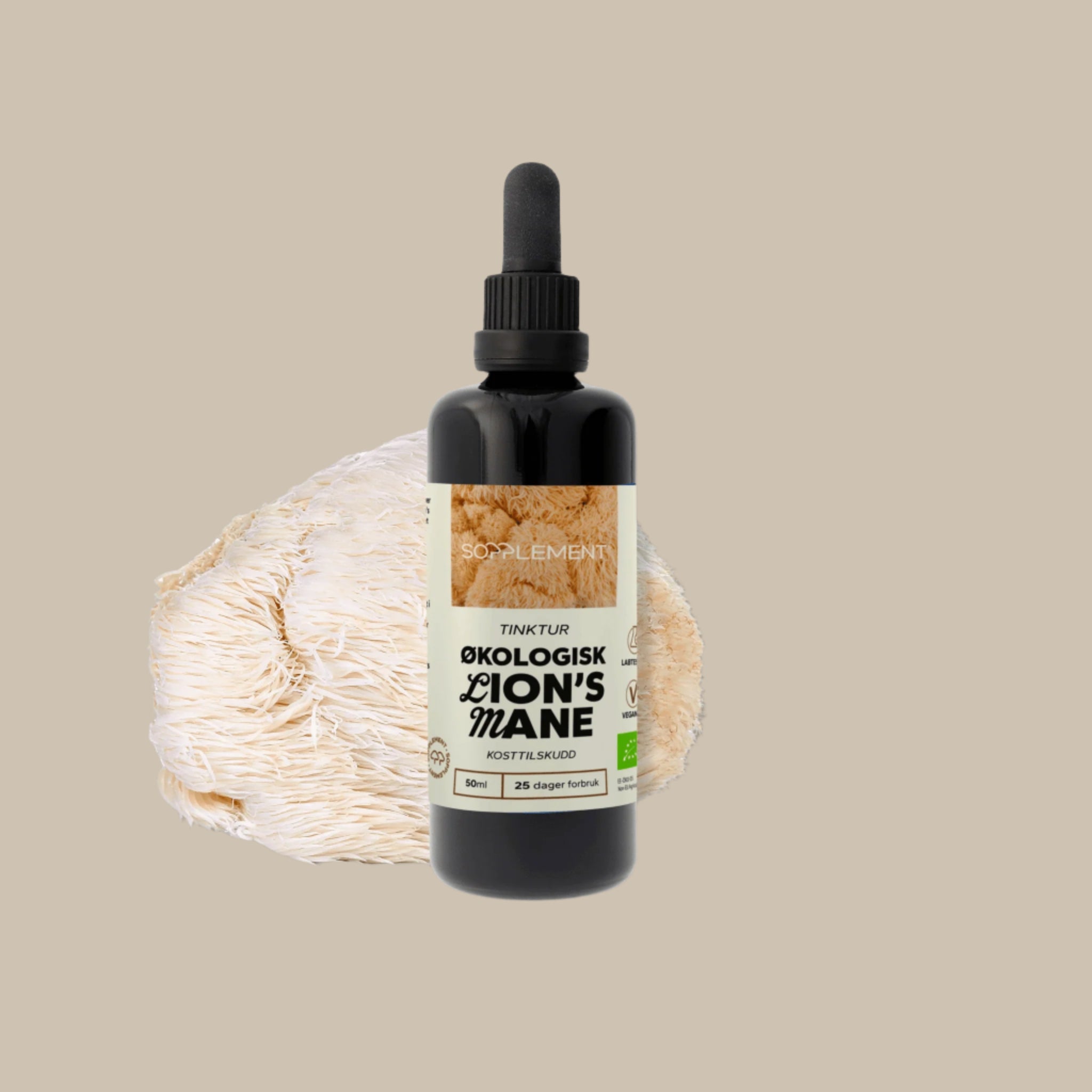 Økologisk Lion's Mane Tinktur 50ml fra Sopplement — funksjonell sopp