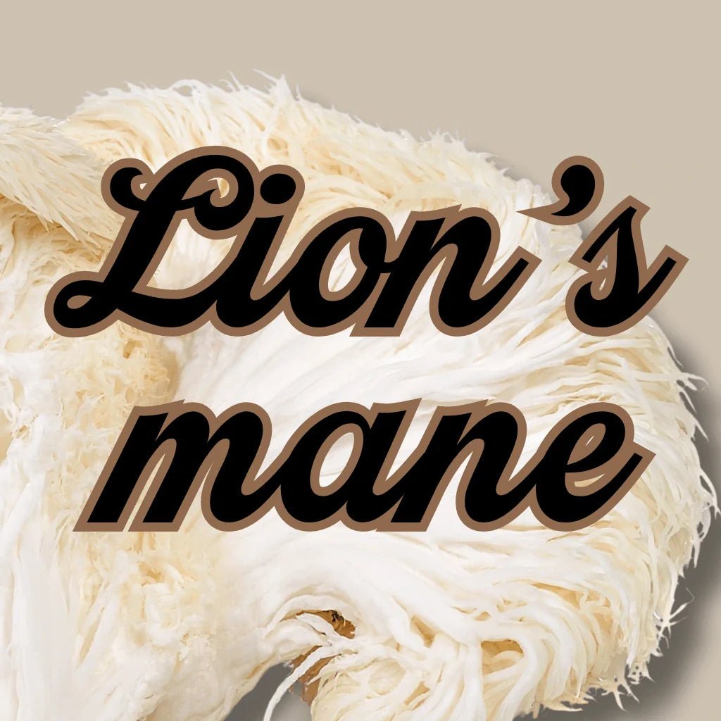 Lion's Mane - Sopplement