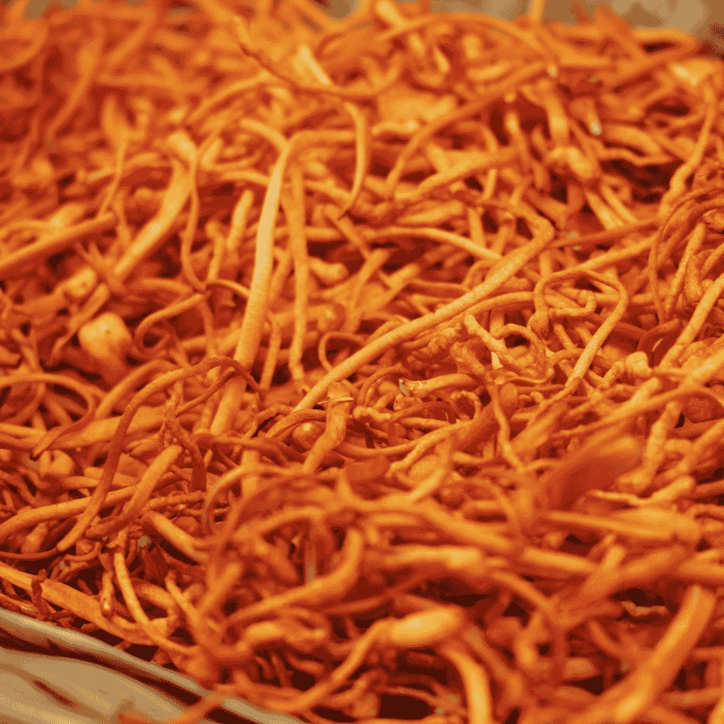 Cordyceps brukt for energi og utholdenhet